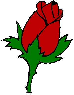 Red Rose